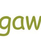 Bungawitta Child Care Centre - Adelaide Child Care