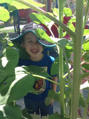 Central Gardens Child Care Pre School - Adelaide Child Care 2