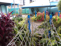 Mackay QLD Schools and Learning Adelaide Child Care Adelaide Child Care