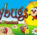 Ladybugs Daycare / Preschool  - Adelaide Child Care