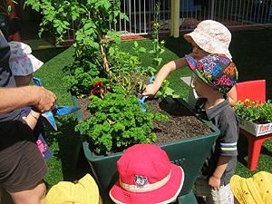 Noosaville Child Care & Pre School Centre - Adelaide Child Care 1