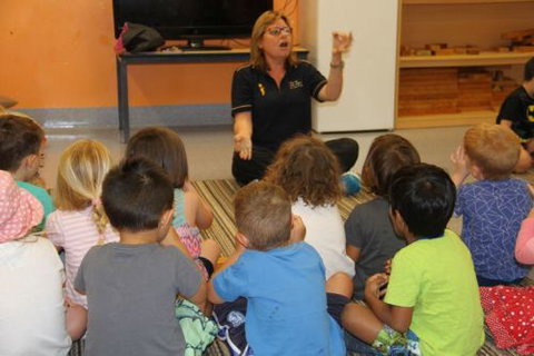 Noosaville Child Care & Pre School Centre - Adelaide Child Care 5