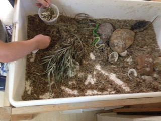 Gumnuts On Hardys Road - Adelaide Child Care 4