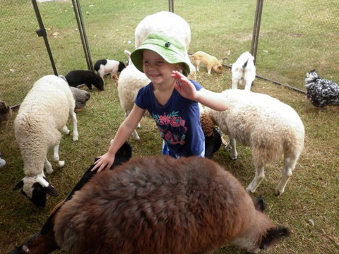 Eastside Little Learners Child Care Centre - Adelaide Child Care 3