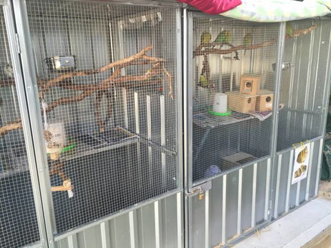 TLC Early Learning Centre - Adelaide Child Care 6