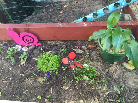 TLC Early Learning Centre - Adelaide Child Care 9