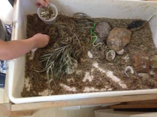 Gumnuts On Hardys Road - Adelaide Child Care 9