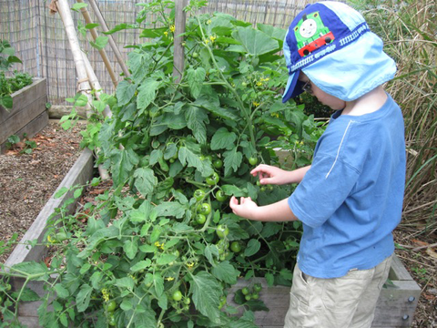 Parklands Community Preschool (Kariong) - Adelaide Child Care 3