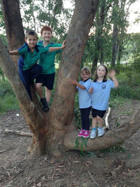 Mount Hutton OOSH & Vacation Care - Adelaide Child Care 15
