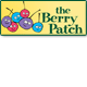 Berry Patch Preschool - Adelaide Child Care