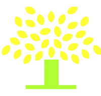 Conyngham Street Community Childcare Centre - Adelaide Child Care