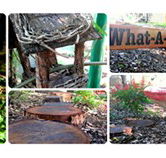 Willmore Kindergarten  Preschool - Adelaide Child Care